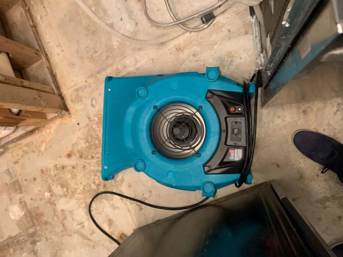 Air mover drying equipment for Mold Remediation & Removal in Fishersville